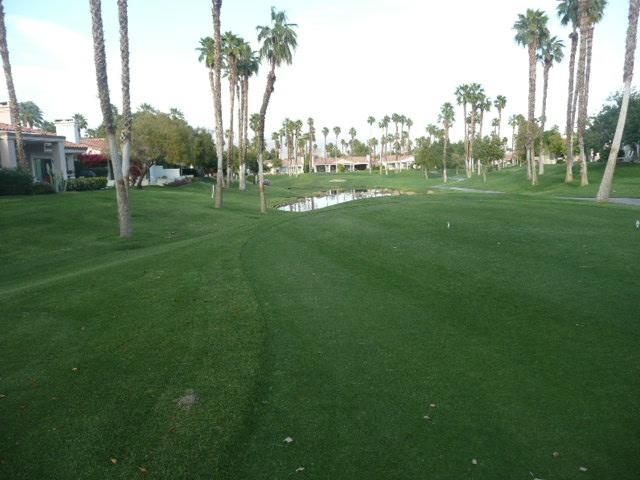 Palm Valley Cc Pickleball, Tennis, Gym, Clubhouse, Swimming Pools, Lux, Spac 2 Bdrms Den 2 Ba อเมริกา ภายนอก รูปภาพ